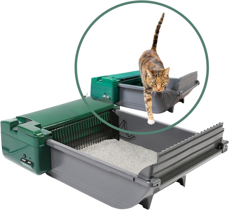 Best Self-Cleaning Litter Box With Rake