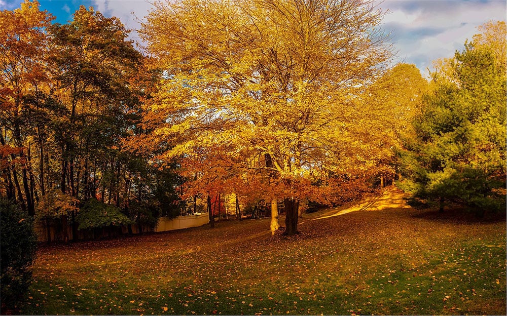 Hillary Clinton Buys Chappaqua, NY, House