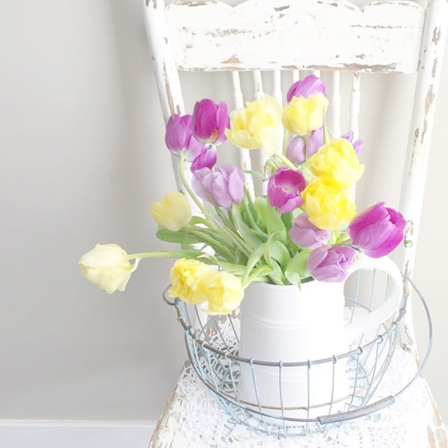These pastel tulips contrast nicely with the white pitcher, which is a homey substitute for a traditional vase. 
Source: Instagram user conveythemoment