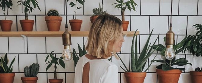 23 Gorgeous Plant Wall Ideas For Small and Big Spaces