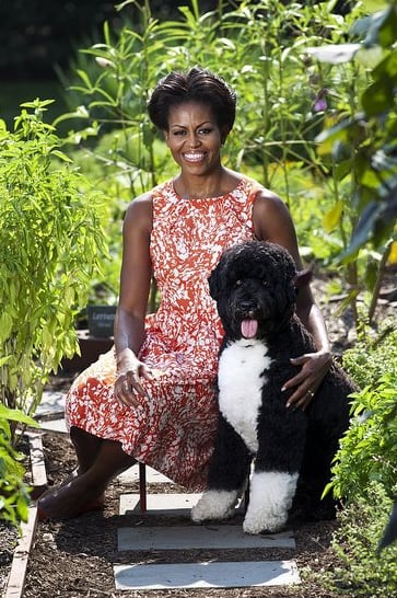 Michelle looked adorable in this official White House photo, with her cutest accessory, Bo, no less!
Michelle looked adorable in this official White House photo, with her cutest accessory, Bo, no less!