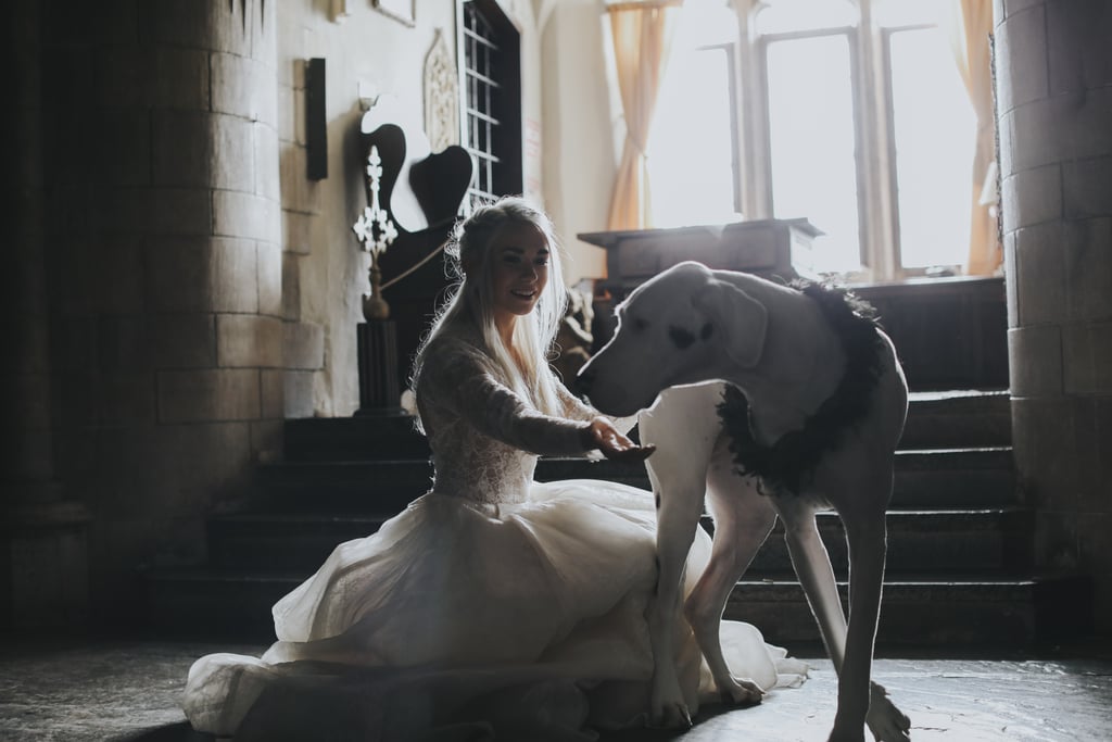 Game of Thrones Wedding 2019