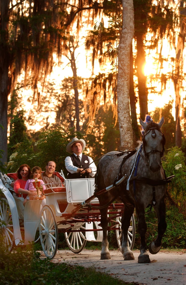 You Can Enjoy an Evening Carriage Ride at Disney's Fort Wilderness Campgrounds