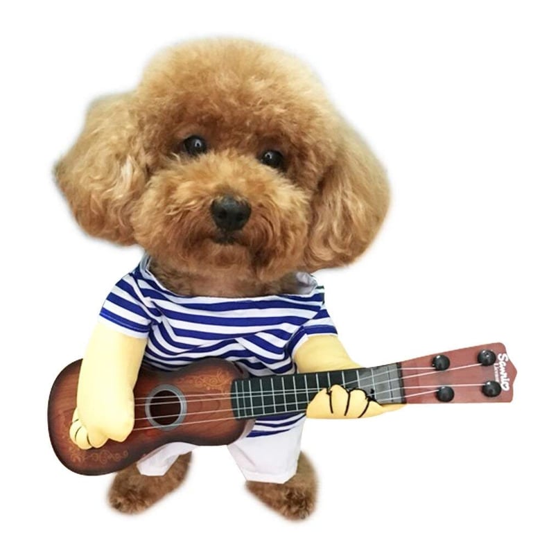 Pet Guitar Costume Dog Costume