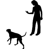 dog hand signal for wait