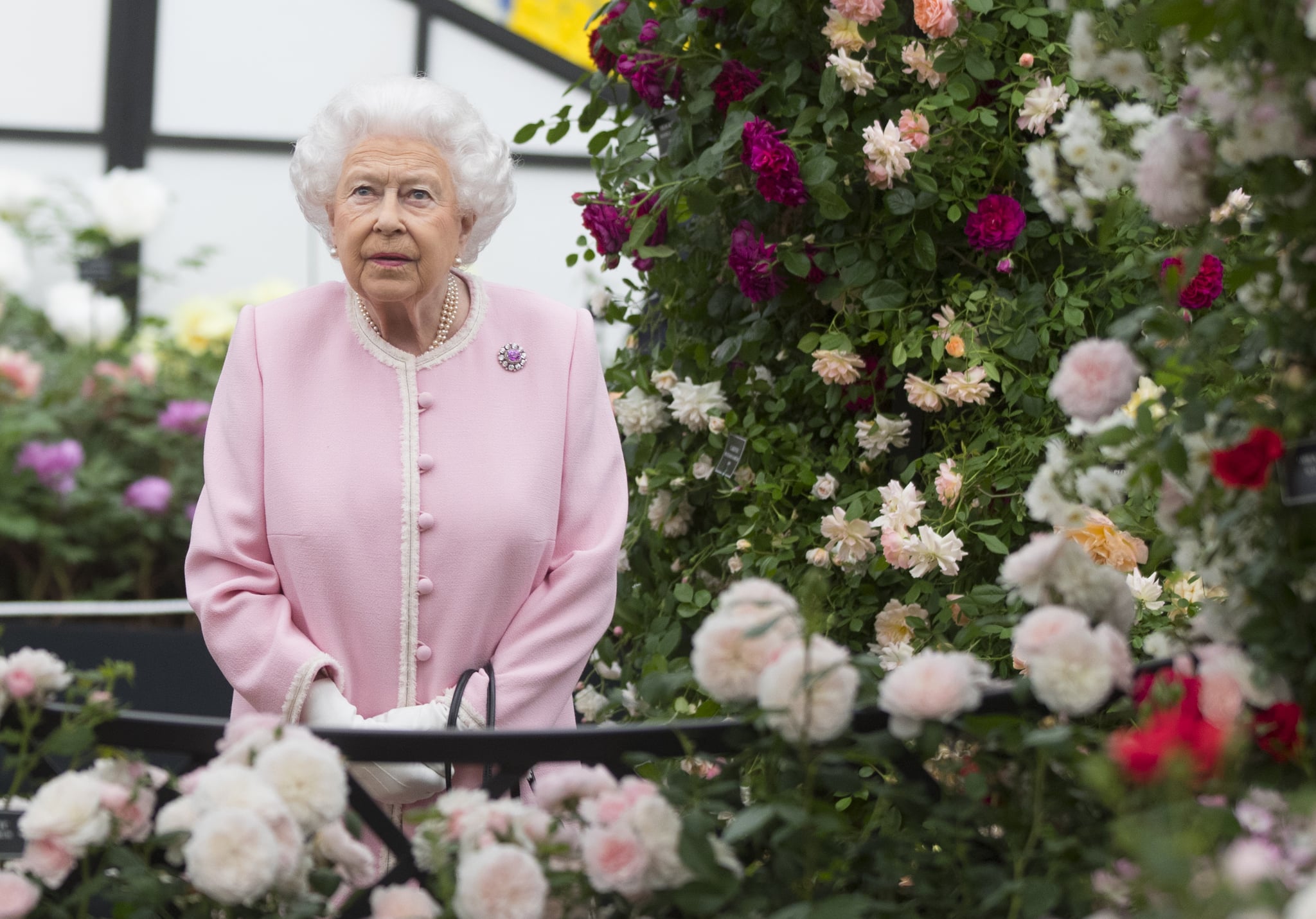 Queen Elizabeth Ii At The Chelsea Flower Show 2018 Popsugar Celebrity