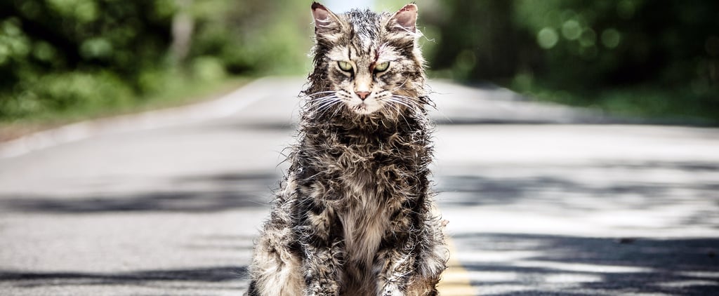 Stephen King's Pet Sematary Book Ending and Spoilers