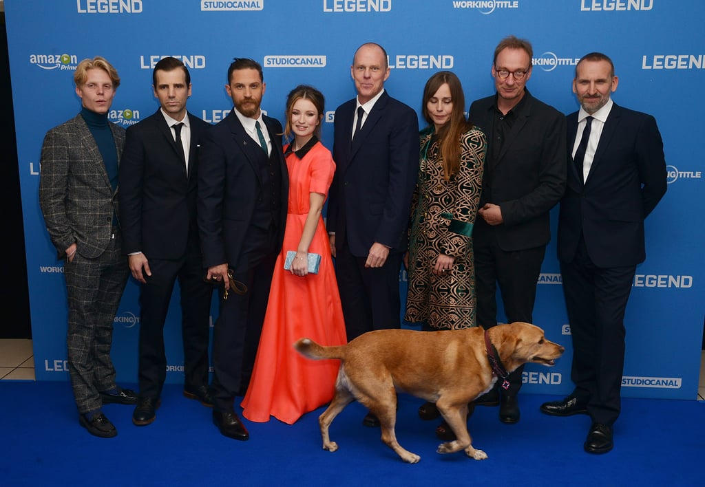 Tom Hardy's Dog at Legend Premiere