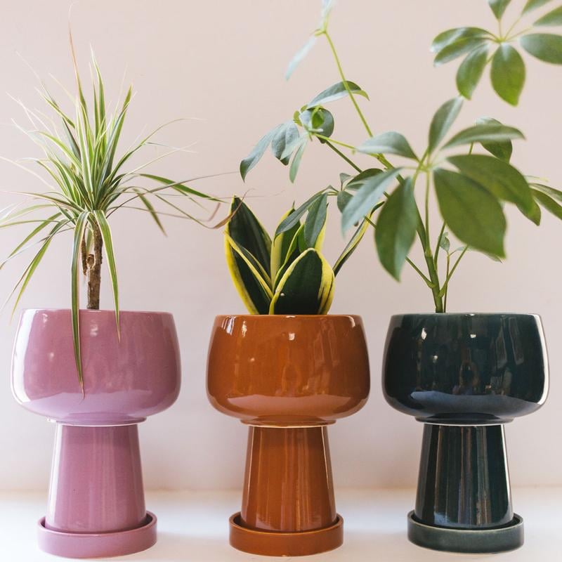 Kaya 3-Piece Ceramic Planter by Justina Blakeney