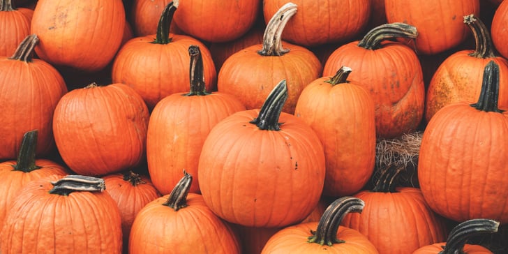 When to Plant Pumpkins to Have Them For Halloween