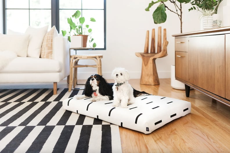 A Plush Dog Bed