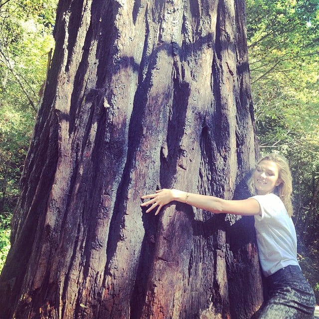 Karlie Kloss hugged a tree in California.
Source: Instagram user karliekloss