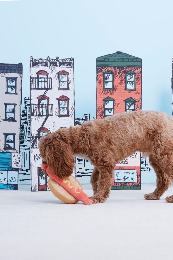 hot dog dog toy