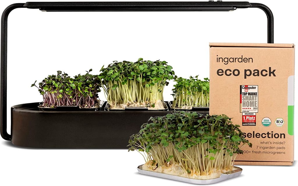 For Plant Parents: Ingarden Superfood Microgreens Growing Kit