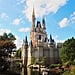 15 Fun Facts About Cinderella's Castle in Disney World