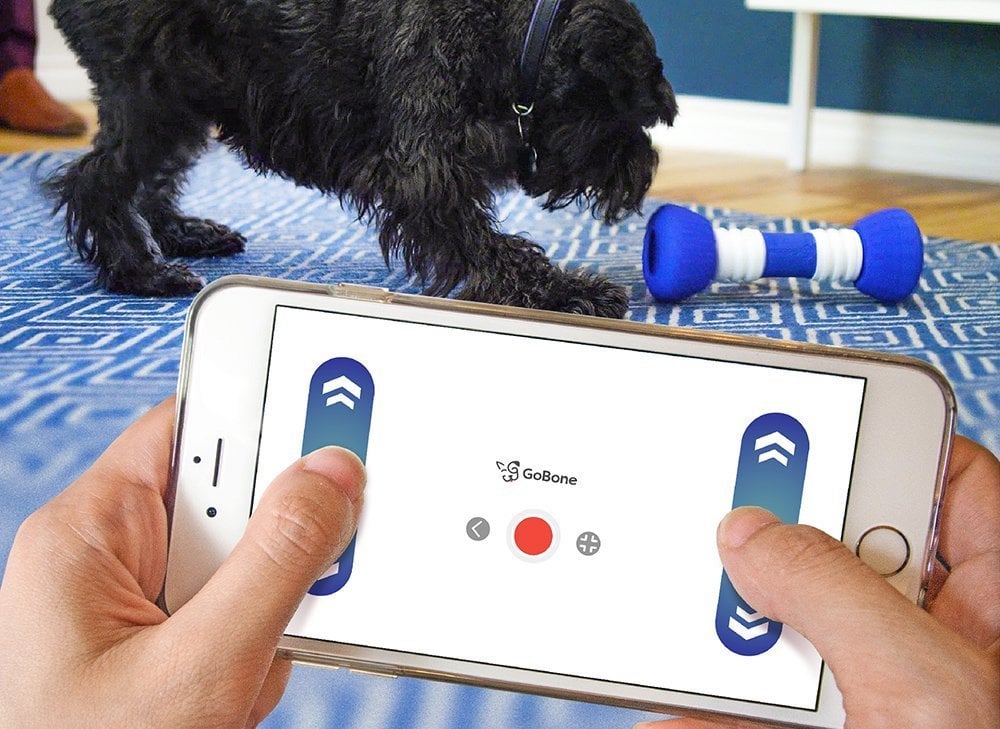 Smart Bone For Dogs