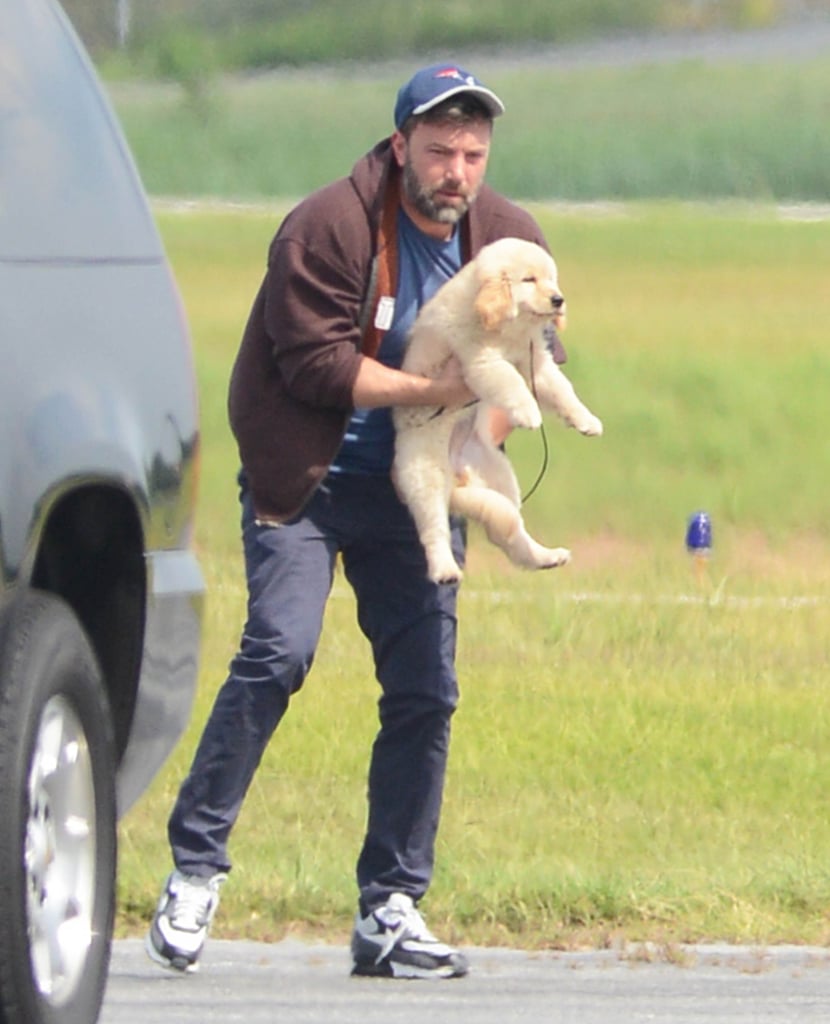 Ben Affleck Holding Puppy in Atlanta | Photos