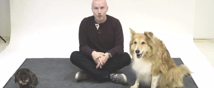 How Dogs React to Human Barking | Video
