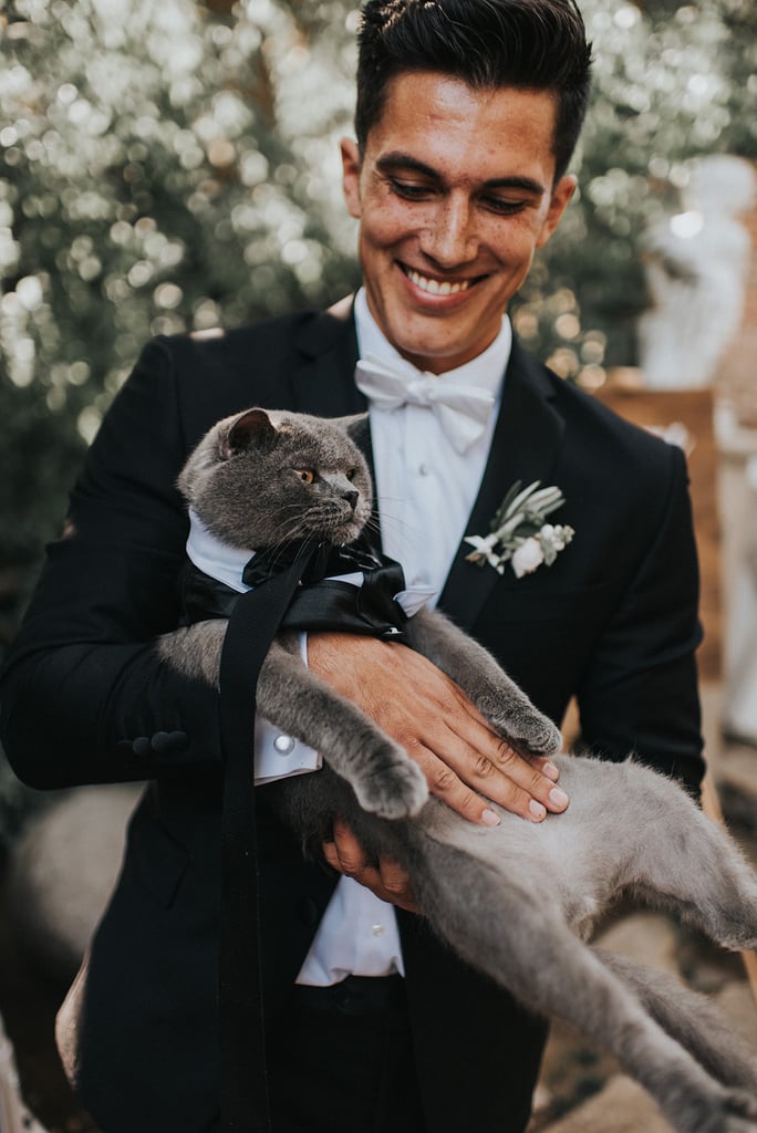 Photos of a Cat Who Was the Best Man in a Wedding