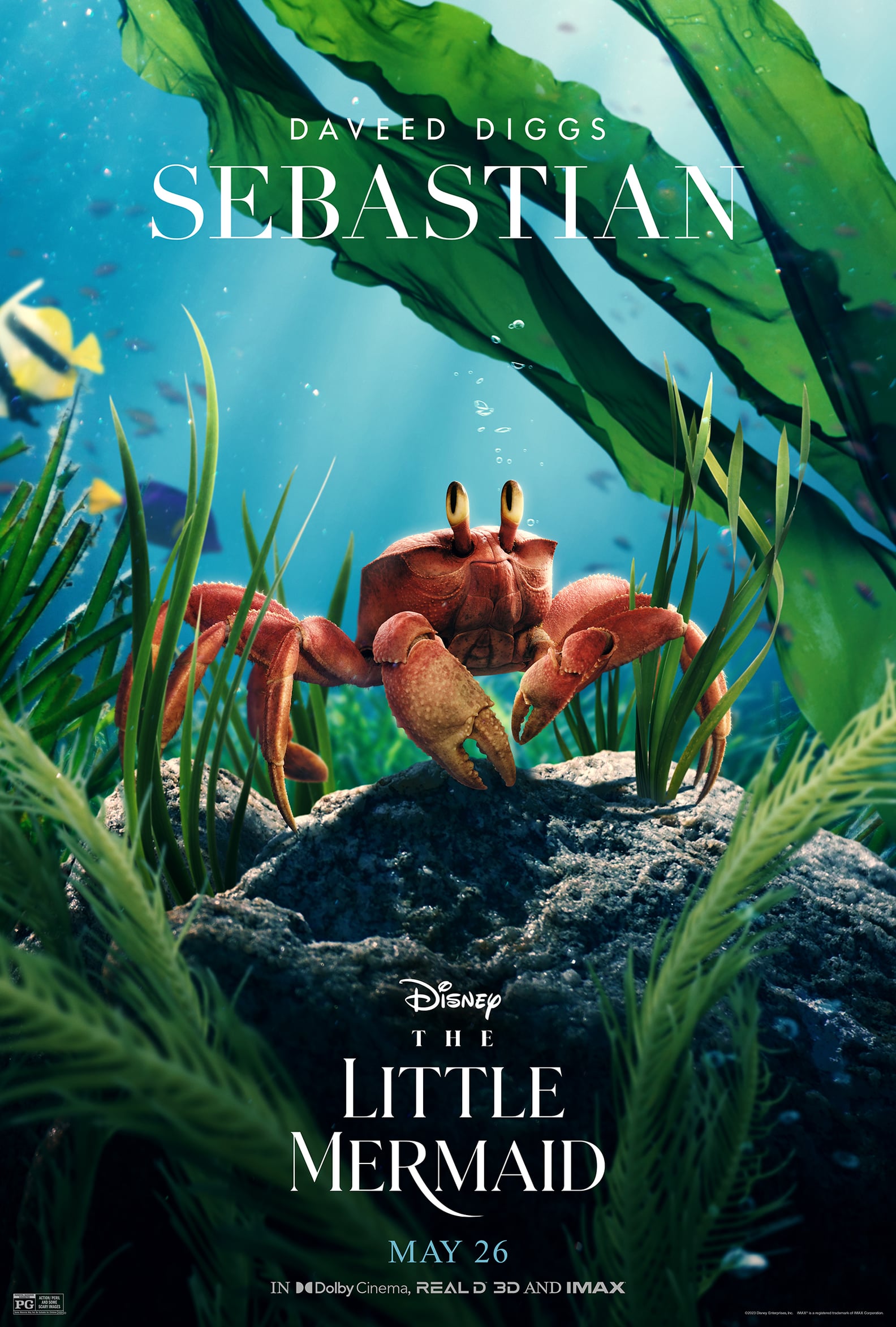LiveAction Little Mermaid Cast, Release Date, Trailers POPSUGAR