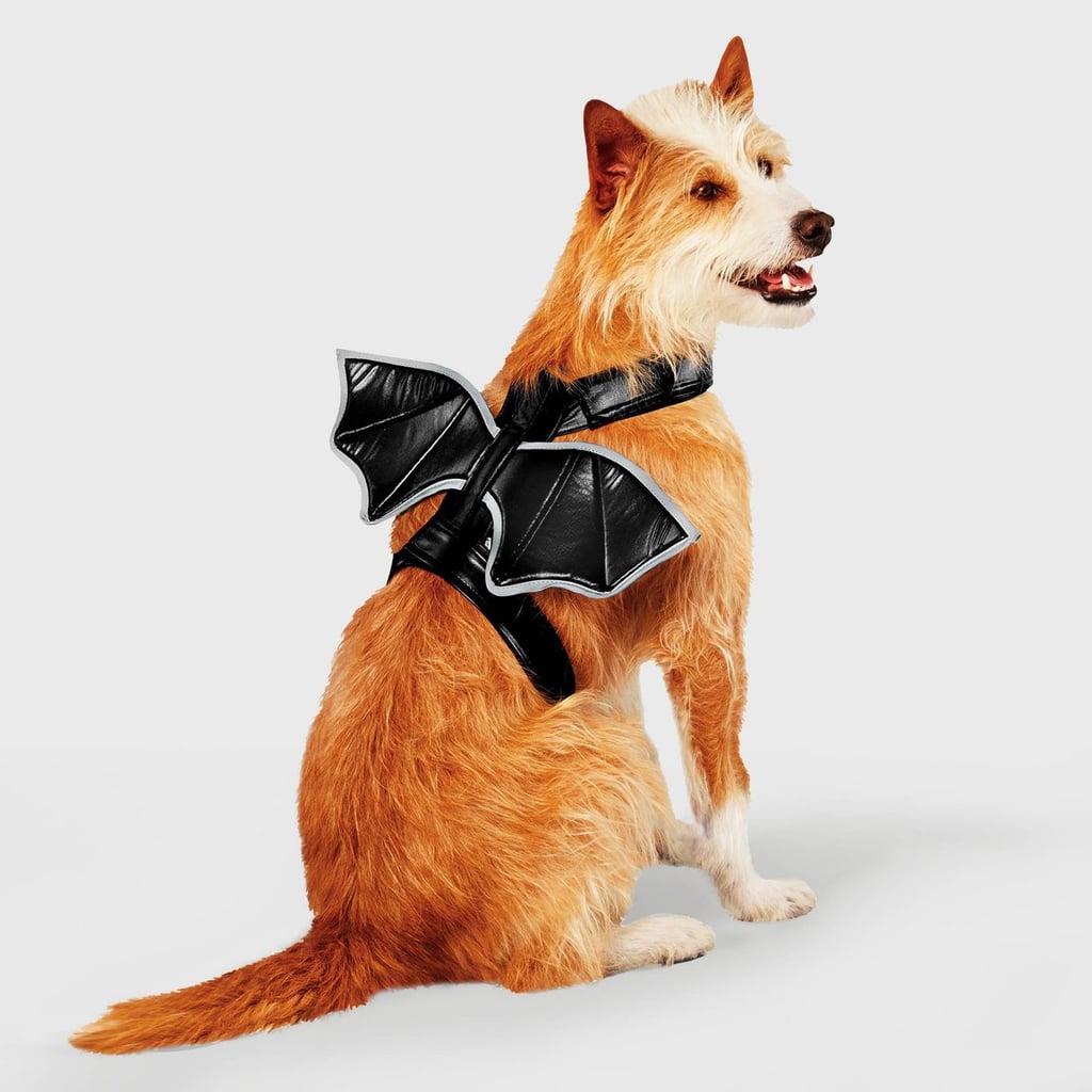 Bat Wings Halloween Dog Costume