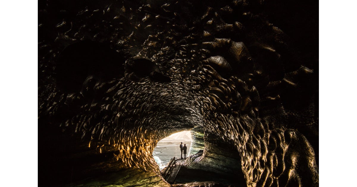 Iceland Images POPSUGAR Pets