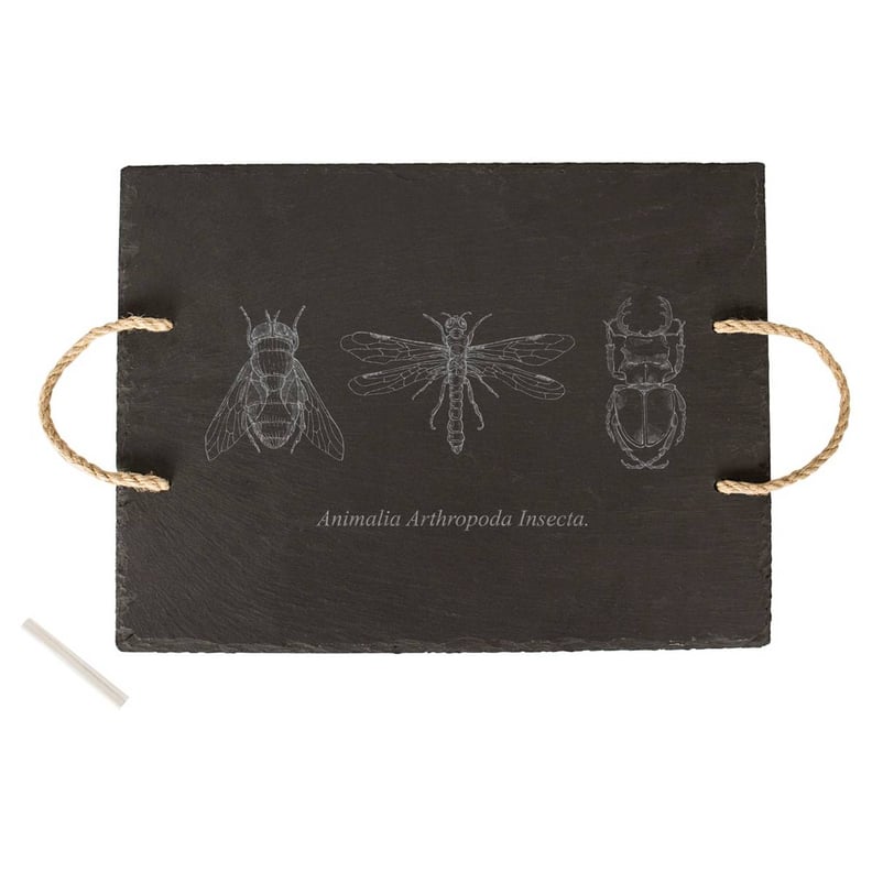 Halloween Insect Slate Tray