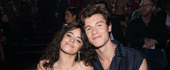 Listen to Camila Cabello and Ed Sheeran's Song "Bam Bam"