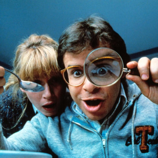 Rick Moranis Cast in Honey, I Shrunk the Kids Movie Reboot