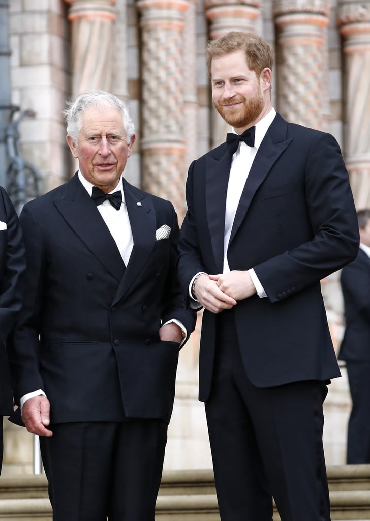 Harry, William, and Charles at Our Planet Premiere 2019