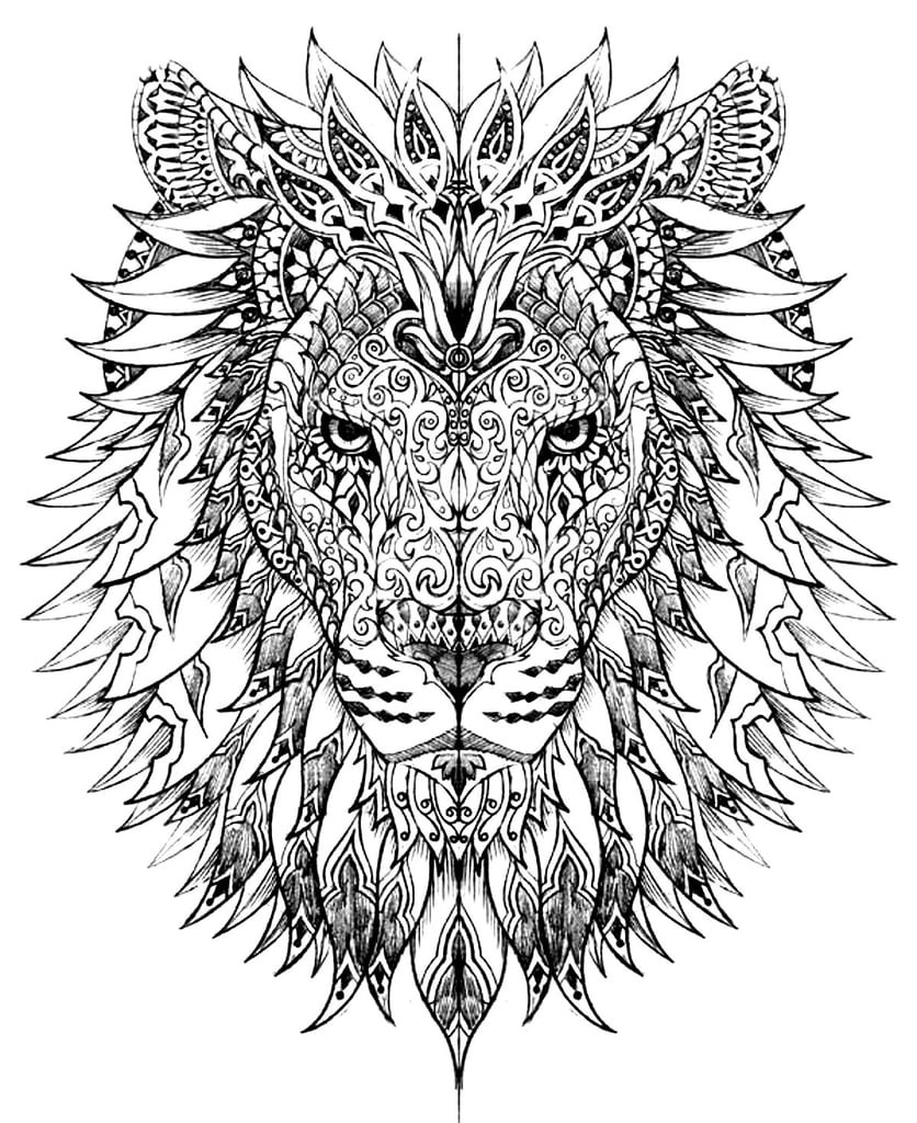 Adult Coloring Page: Lion Head