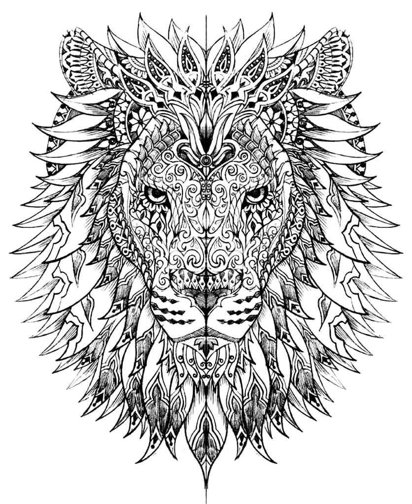 animal coloring pages pdf