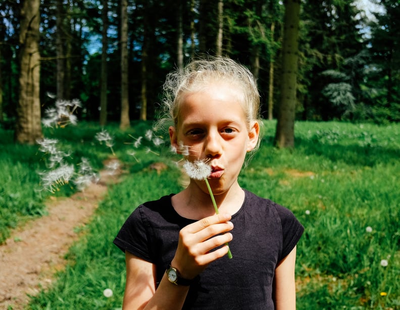 Make wishes on dandelions.