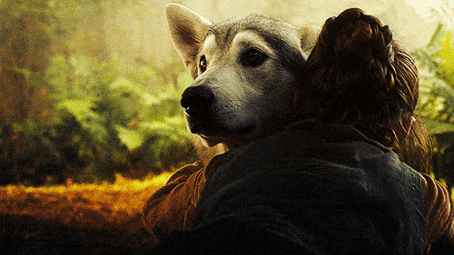 Arya and Nymeria will reunite.