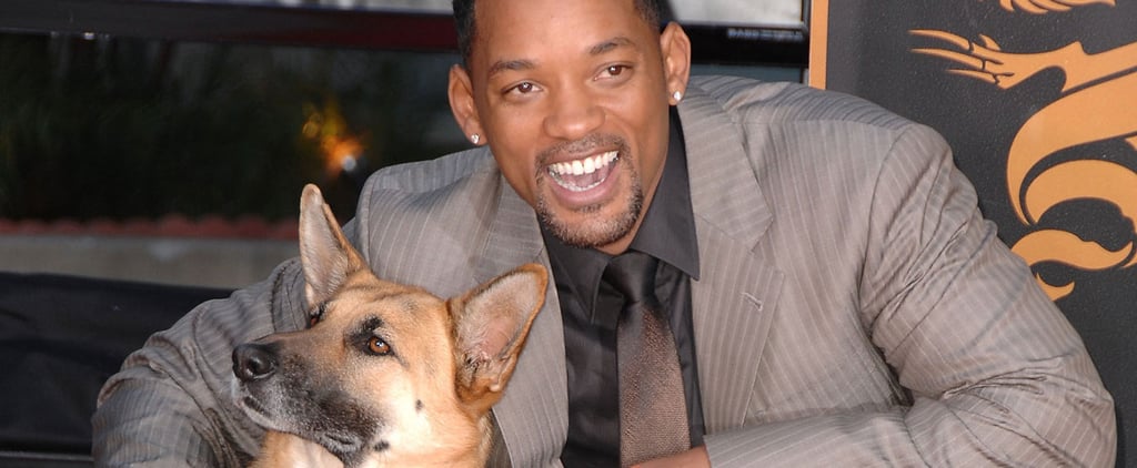 Hot Celebrities With Dogs | Pictures