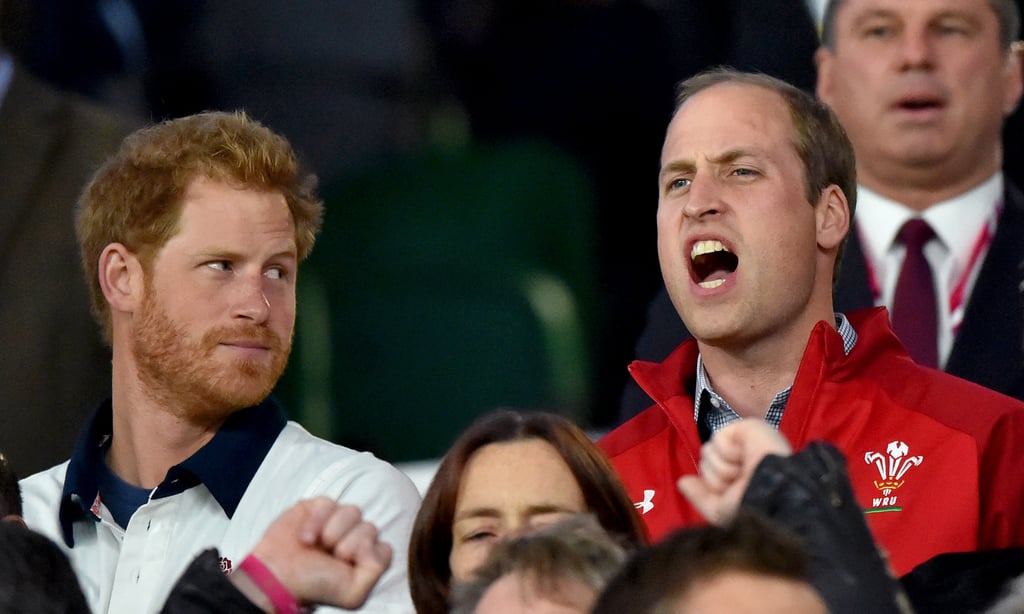 Harry gave William a "look" as he cheered during the Rugby World Cup in 2015.