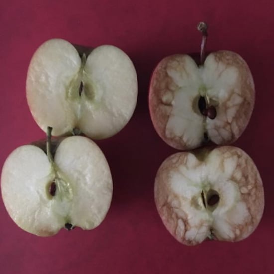 Teacher Uses Apples to Explain the Consequences of Bullying