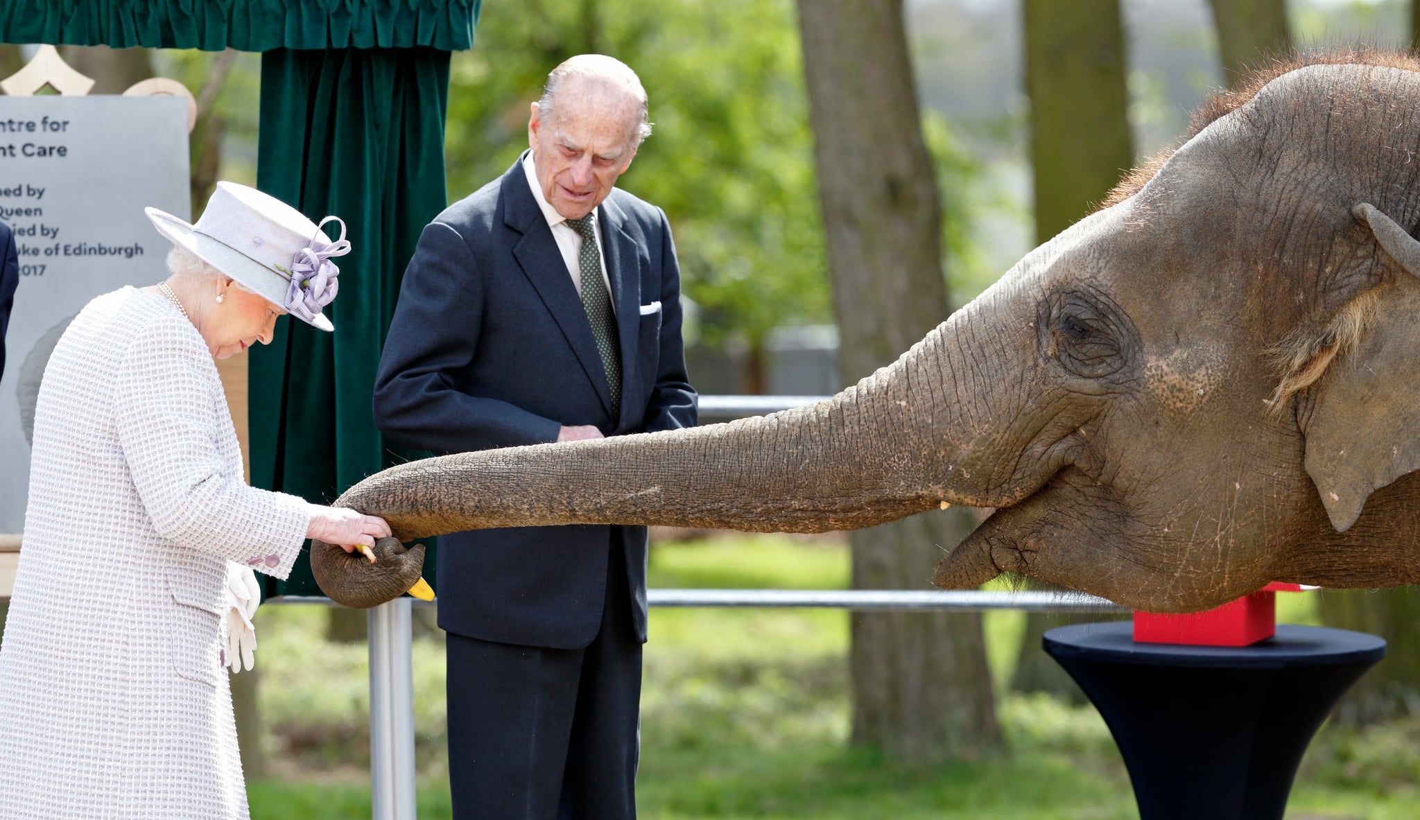 Queen Elizabeth II and Prince Philip feed an elephant in 2017