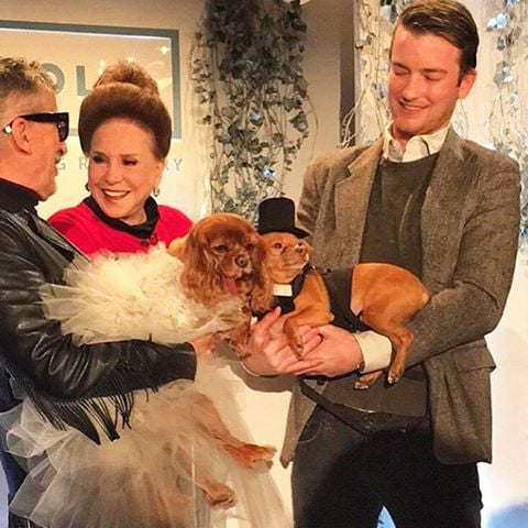 Toast and Finn's Wedding | Instagrams