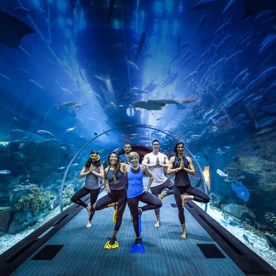 Dubai Aquarium & Underwater Zoo Yoga