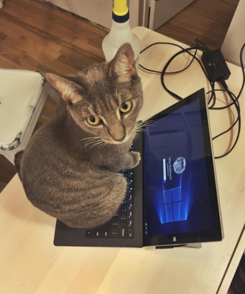 Your Keyboards Aren't For Typing Anymore | Signs You're a ...