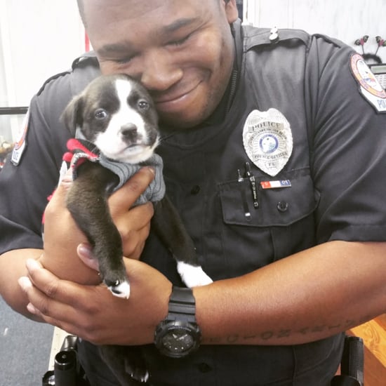 Florida Police Officer Rescues Puppy