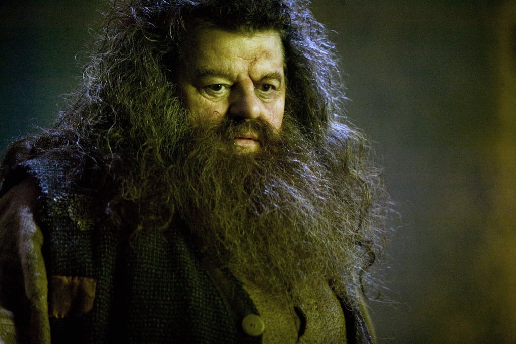 harry potter hagrid fang