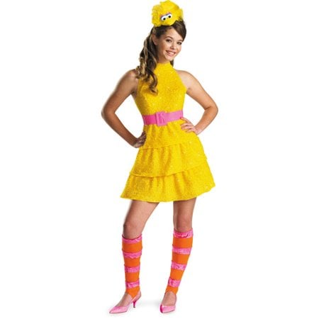 Big Bird Teen Halloween Costume