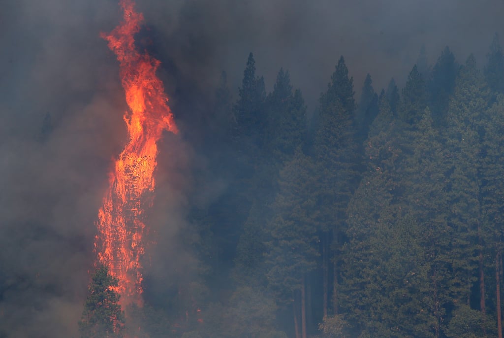 Sacramento Wildfire September 2014 | Pictures