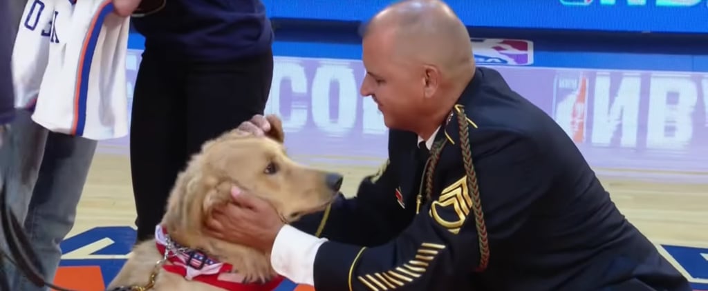 New York Knicks Give Service Dog to Army Veteran