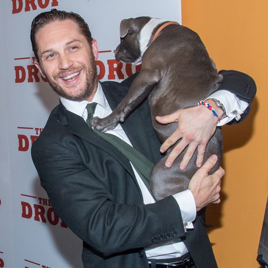 Tom Hardy With a Puppy at the Premiere of The Drop | Photos