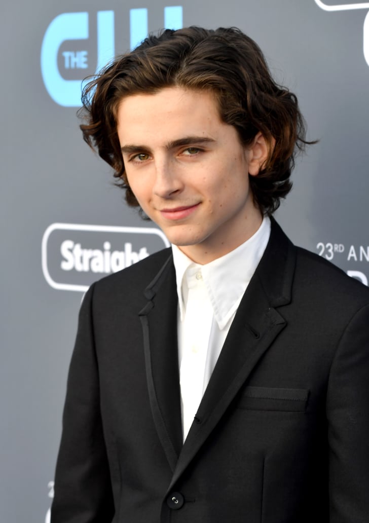 timothée chalamet funko pop