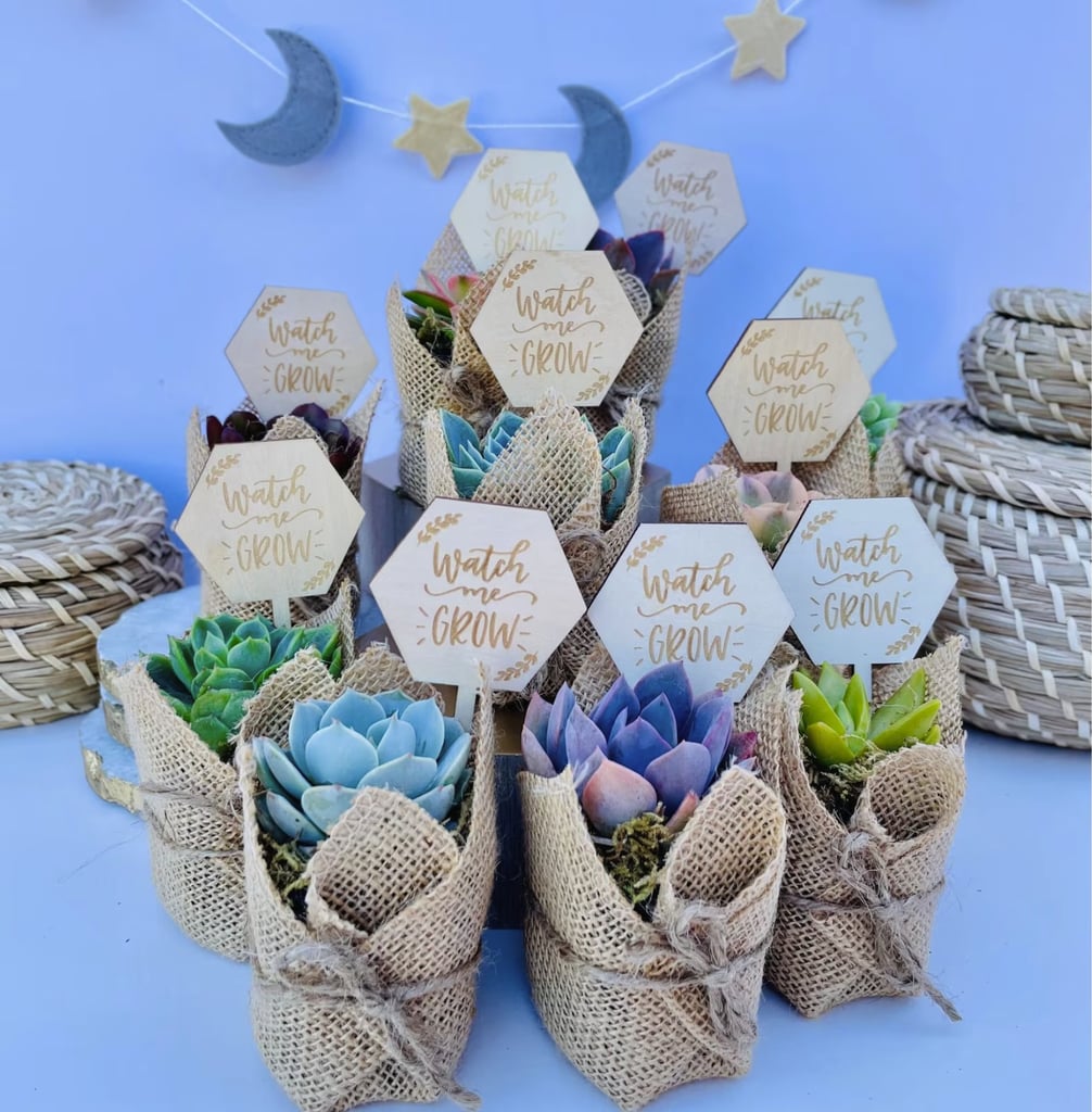 Plant Baby Shower Favor: Potted Succulents