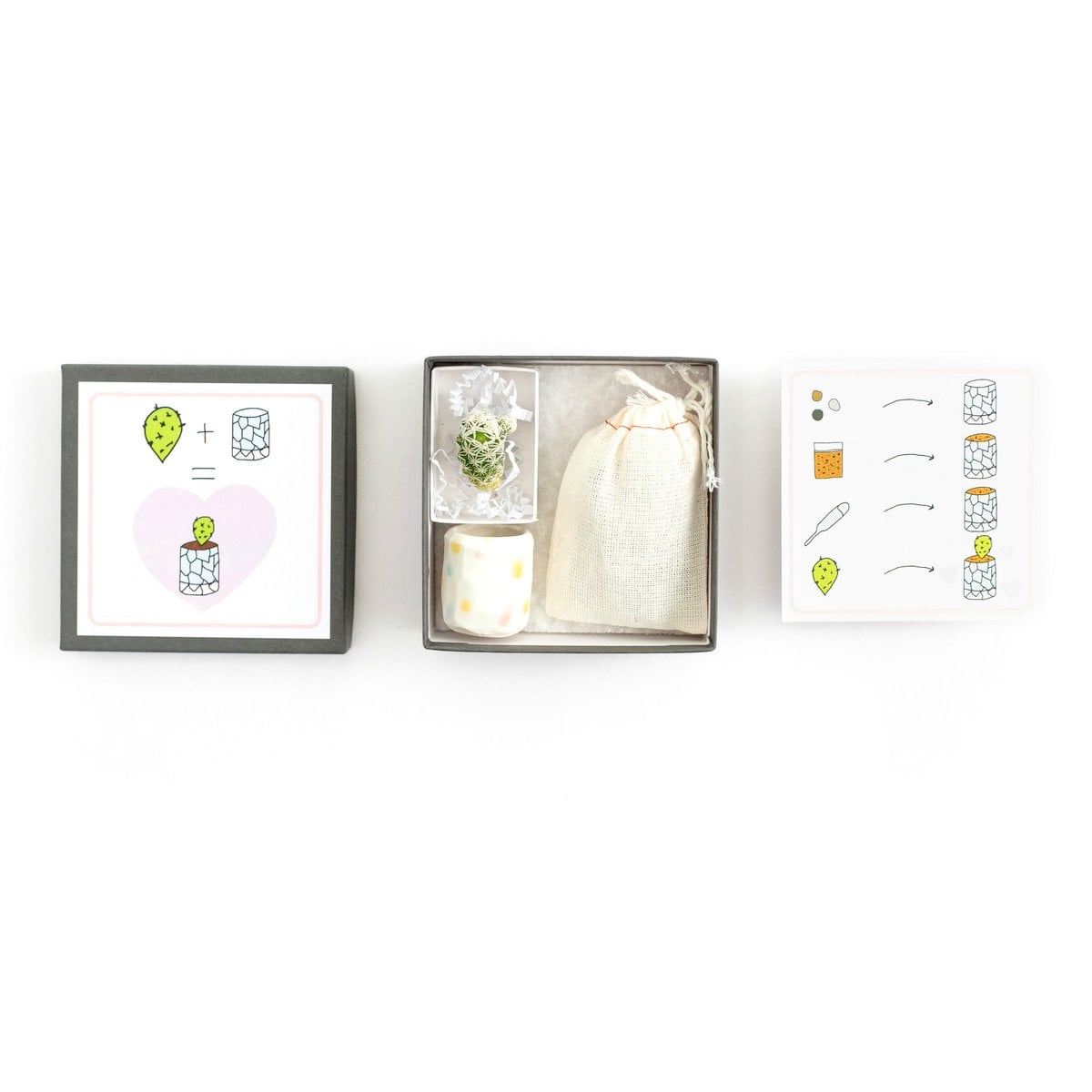 Mini Cactus Kit